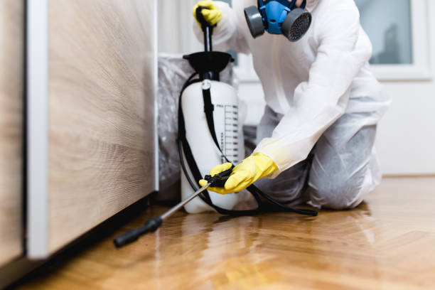 Best Pest Prevention Services  in Morristown, TN