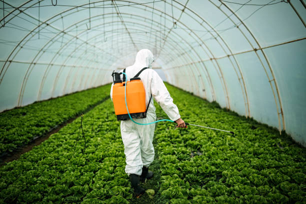 Best Pest Inspection Near Me  in Morristown, TN