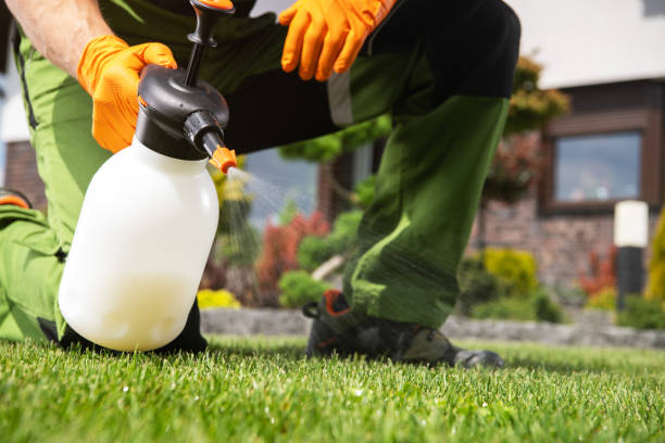 Best Affordable Pest Control Services  in Morristown, TN
