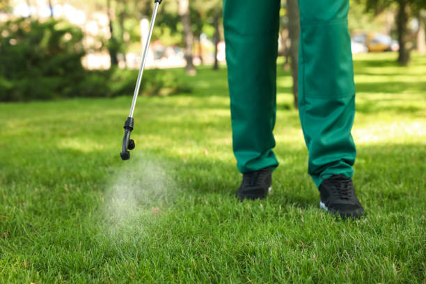 Best Termite Control Services  in Morristown, TN