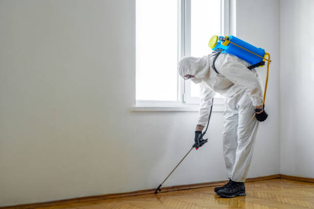 Pest Control for Restaurants in Morristown, TN