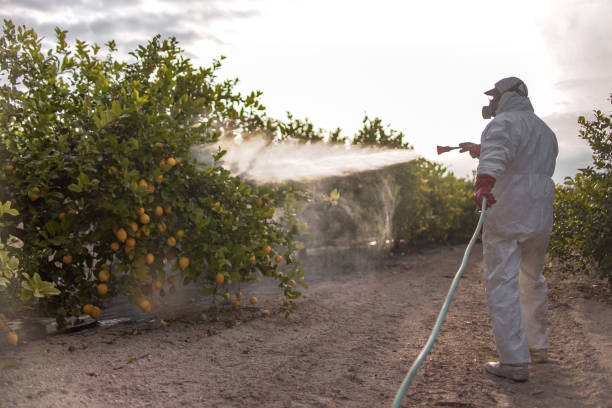 Pest Control Cost in Morristown, TN