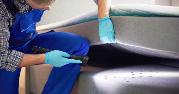 Best Emergency Pest Control  in Morristown, TN