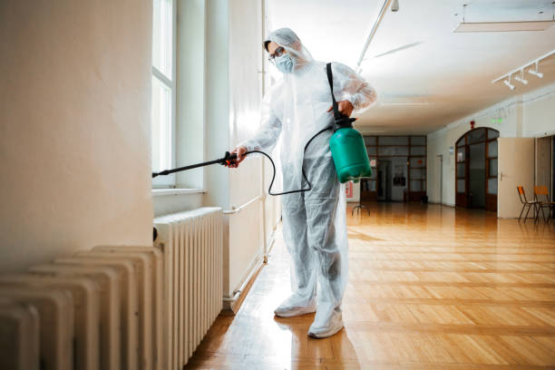 Best Affordable Pest Control Services  in Morristown, TN